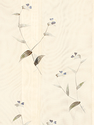 露草の柄紗附下