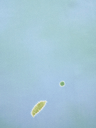 辻が花染小紋着物