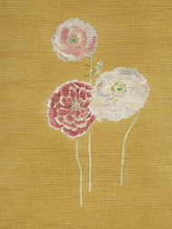 ケシの花 絽麻名古屋帯地