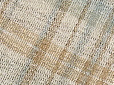 �������D�i�q�Ĕ������É��� width=