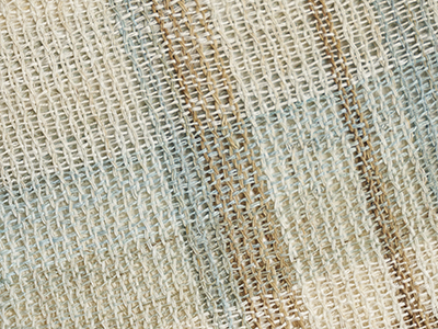 �������D�i�q�Ĕ������É��� width=