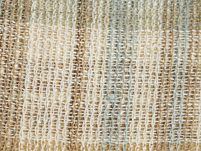 �������D�i�q�Ĕ������É��� width=