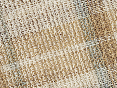 �������D�i�q�Ĕ������É��� width=