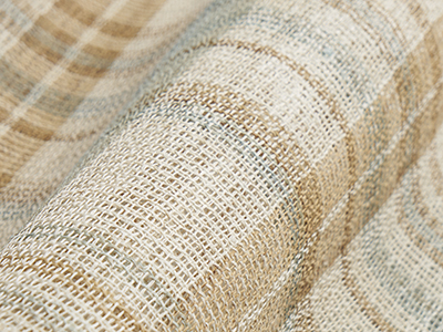 �������D�i�q�Ĕ������É��� width=