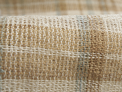 �������D�i�q�Ĕ������É��� width=