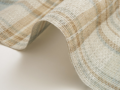 �������D�i�q�Ĕ������É��� width=