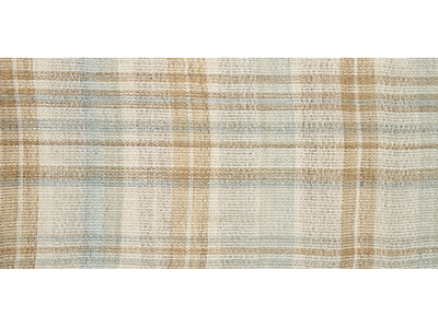 �������D�i�q�Ĕ������É��� width=