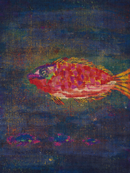 魚の模様手描開名古屋帯