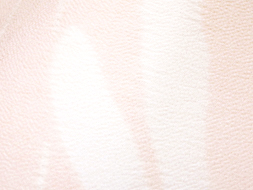 ̖͗liJÉс@ɐR