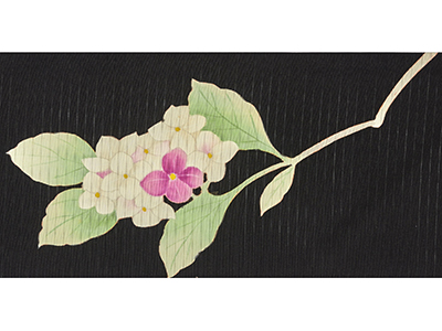 アジサイの花絽塩瀬名古屋帯(z74096yM) 帯紹介