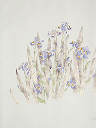 シャガの花手描友禅名古屋帯