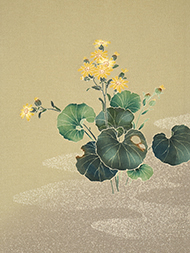 ツワブキの花友禅名古屋帯 茂野大生作